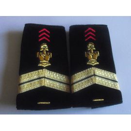 Fourreaux Grade Sergent Plus 5 Années 17rgp- Genie Parachutiste-Armée De Terre