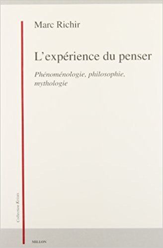 L'expérience Du Penser - Phénoménologie, Philosophie, Mythologie