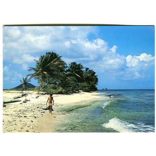 Carte Postale - Sandy Island - Carriacou - Petites Antilles