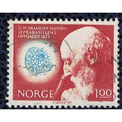 Norvège 1973 Oblitéré Used Médecin Bactériologiste Gerhard Armauer Hansen Su