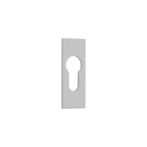 Rosace en aluminium adhésive cylindre européen - Argent