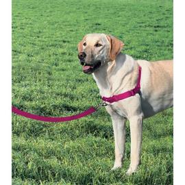 harnais chien anti traction, arnet pour chien facile à mettre harnais  réfléchissant réglable avec attache devant easy walk arnais