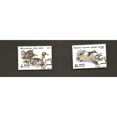 Canards