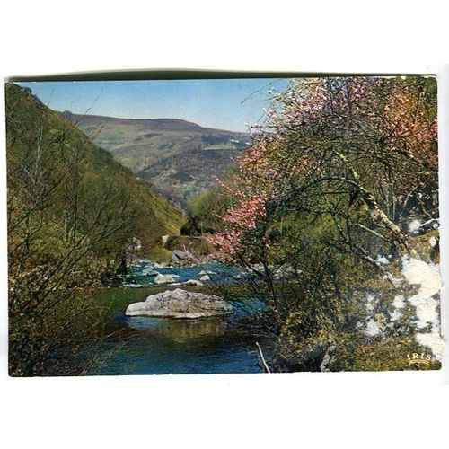 Carte Postale - Printemps Au Pays Basque - Pyrénées Atlantiques - 64