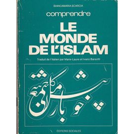 Comprendre Le Monde De L? Islam.