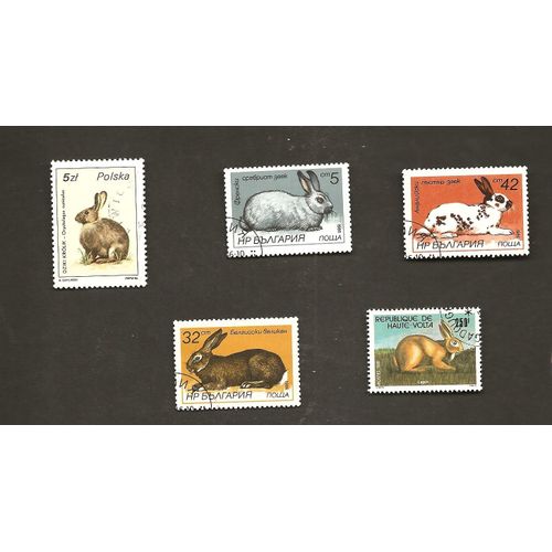 Lapins