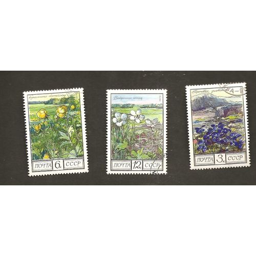 Fleurs