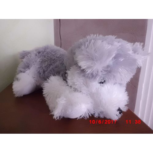 Chien Des Neiges Mgm