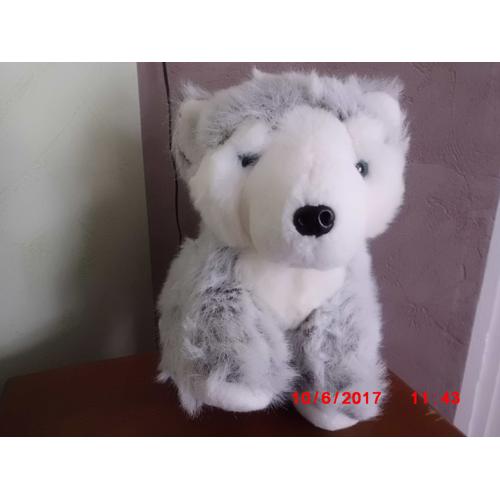 Chien Des Neiges Yeux Bleu Nounours