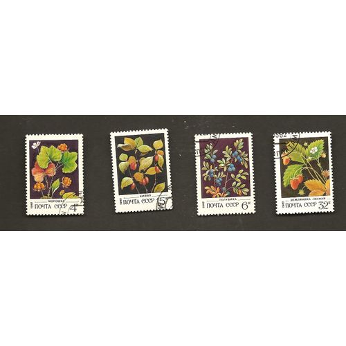 Petits Fruits Rouges