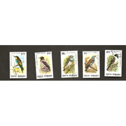 Oiseaux