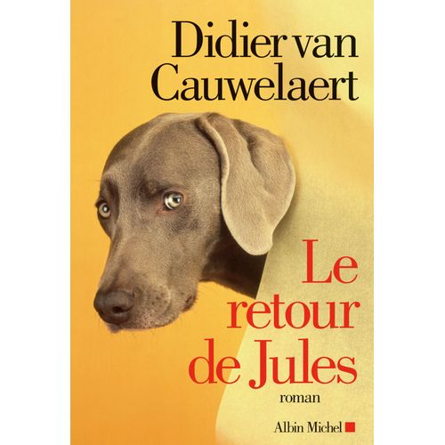 Le Retour De Jules