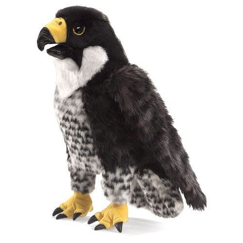 Folkmanis Wanderfalke / Peregrine Falcon
