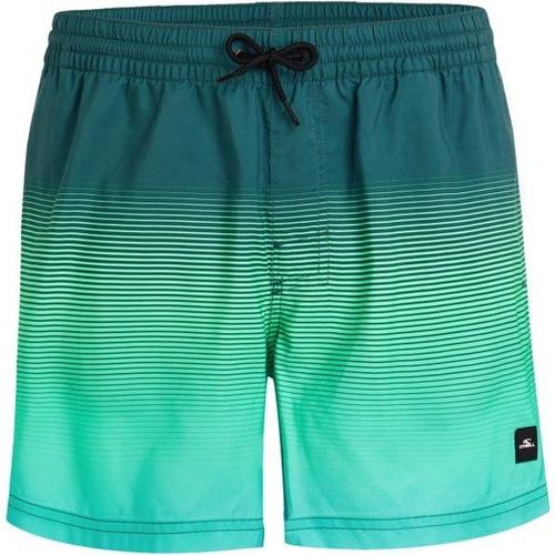 Jack Cali Gradient 15'' Swim Shorts Short De Bain Taille Xl, Turquoise