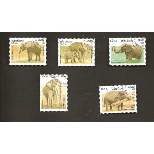 Eléphants
