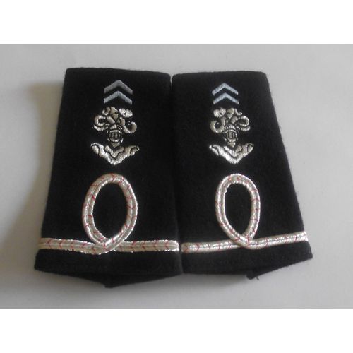 Fourreaux Grade Éleve Officier (Aspirant) Hussards Armée De Terre