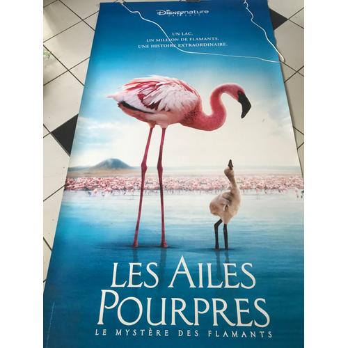 Les Ailes Pourpres : Le Mystere Des Flamants - Matthew Aeberhard - Leander Ward - Disney - 2008 - Affiche De Cinema Roulée 120x240 Cm