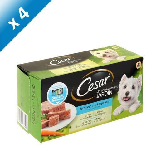 Cesar Barquette De Terrine Aux Légumes - Pour Chien - 4x300g (X4)