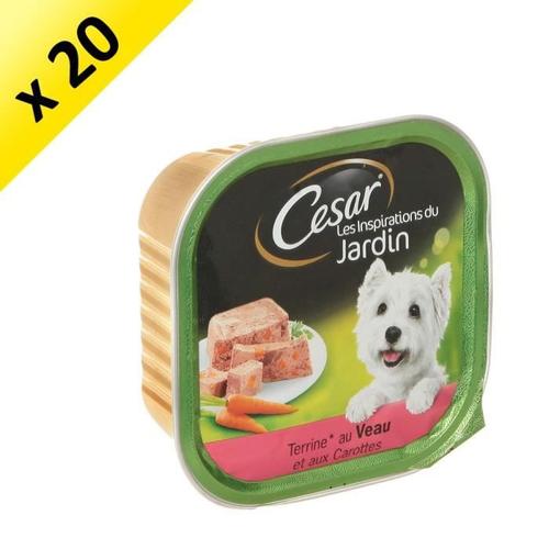 Cesar Barquette De Terrine Au Veau Et Aux Carottes - Pour Chien - 300g (X20)