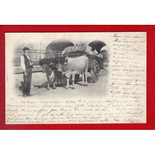 1 Cpa Carte Postale Ancienne Pays Basque Attelage De Boeufs