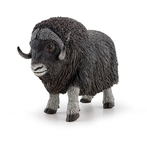 La Vie Sauvage Buf Musqué