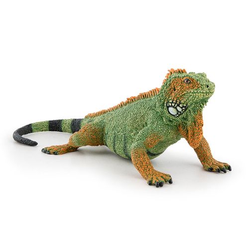 La Vie Sauvage Iguane