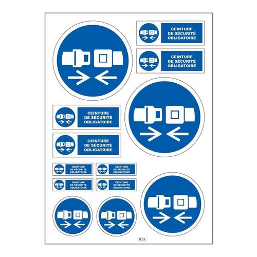 Planche A4 De Stickers Ceinture De S?curit? Obligatoire Autocollant - B53