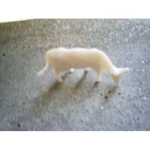 Vache