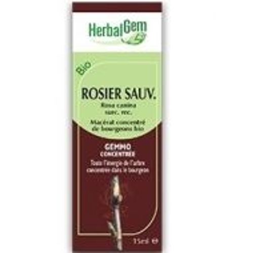 Rosier Sauvage Bourgeon Bio - Herbalgem 15 Ml 