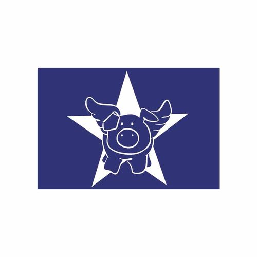 Pochoir Spécial Textile A5 Star-Pig + Raclette - Rayher