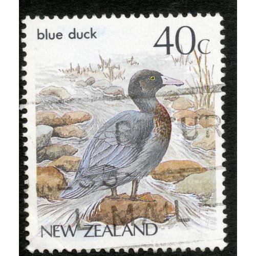 Timbre Oblitéré New Zealand, Blue Duck, 40 C