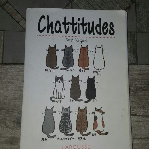 Chattitudes