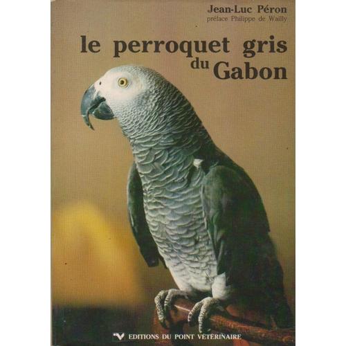 Le Perroquet Gris Du Gabon