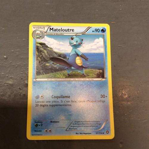Pokémon - 31/114 - Mateloutre - Xy - Offensive Vapeur - Peu Commune