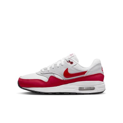 Air Max 1pour Ado Gris Dz3307s003