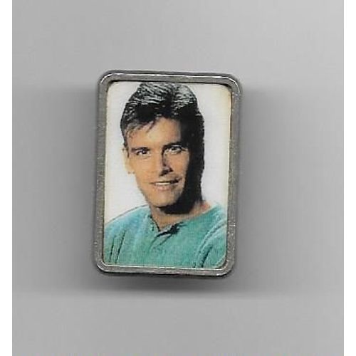Pins Musique Chanteur Roch Voisine