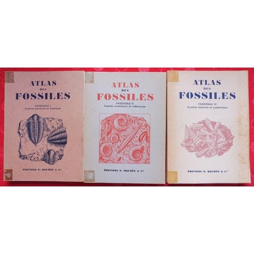 Atlas Des Fossiles Fascicules I, Ii Et Iii
