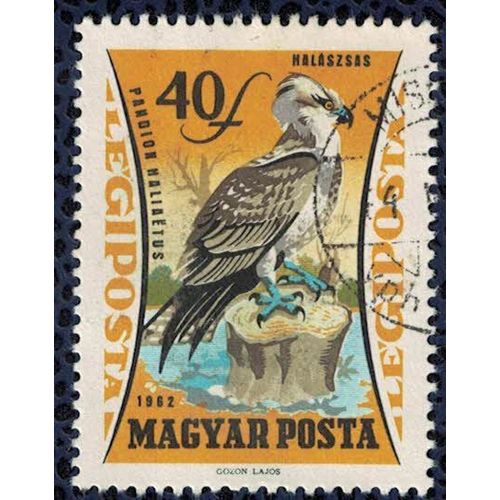 Hongrie 1962 Oblitéré Used Oiseau Pandion Haliaetus Balbuzard Pêcheur Su