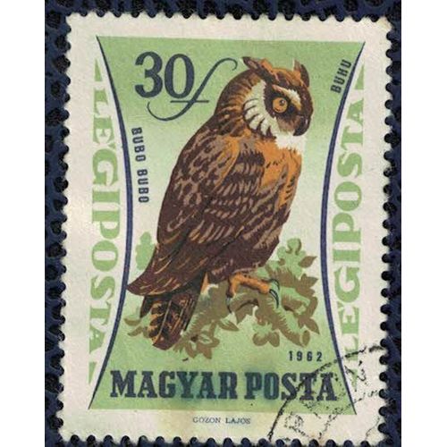 Hongrie 1962 Oblitéré Used Oiseau Bubo Bubo Hibou Grand Duc Su