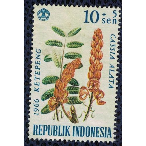 Indonésie 1966 Used Plante Fleur Cassia Alata Dartrier Su