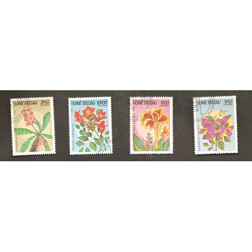 Fleurs