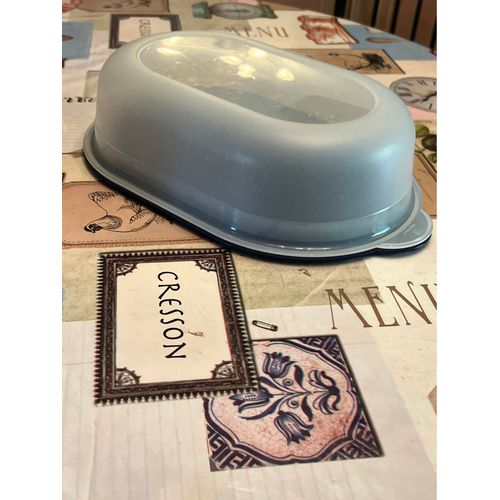 Grand Plat Avec Cloche De Service Tupperware Bleu Preludio Vintage 