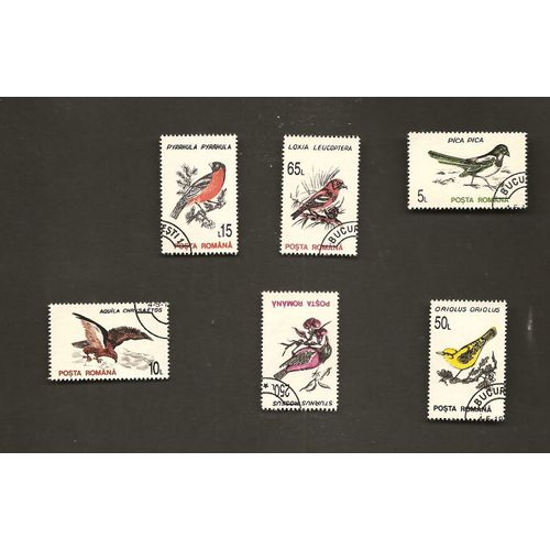 Oiseaux
