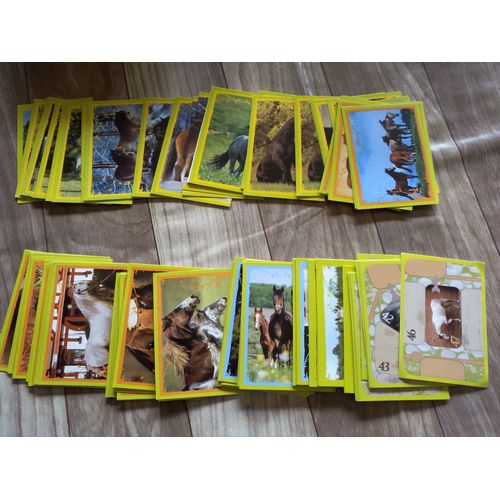 Lot De 5 Images Chevaux, Un Voyage Fantastique