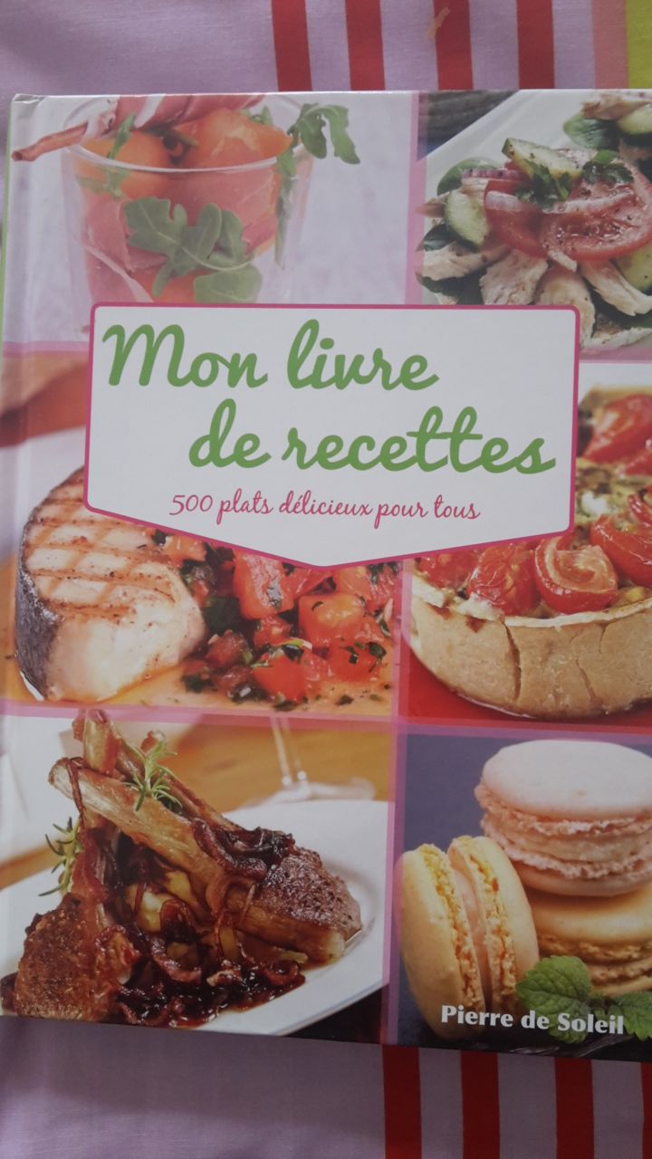 Mon livre de recettes 500 plats délicieux pour tous