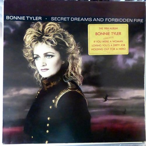 Secret Dreams And Forbidden Fire