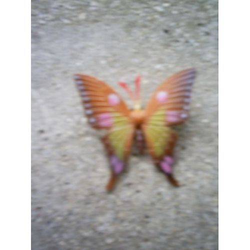 Papillon