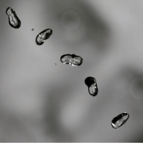 Peter Gabriel - Up - Standard Version - 2 Vinilos