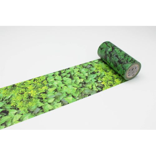 Masking Tape Mt Casa 100 Mm Motif Lierre / Ivy - Masking Tape (Mt)