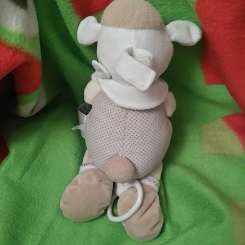Doudou Musical Peluche Musicale Mouton Mots D Enfants Leclerc Oiseau Dans Les Pattes Marron Beige Creme Ecru Vert Jouet Eveil Bebe Naissance Rakuten